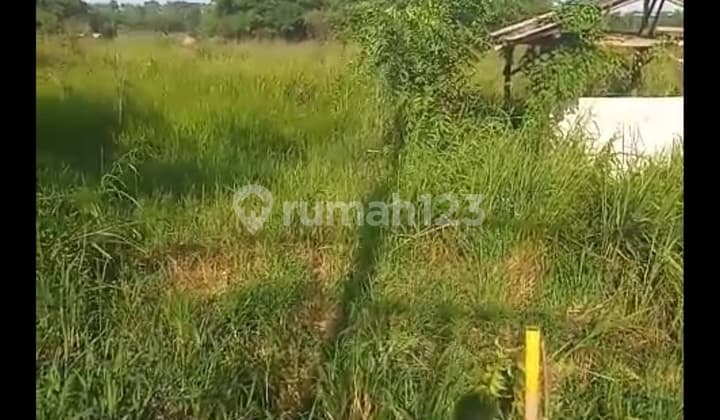 Tanah Dijual Di Cileles Tigaraksa Tangerang 1 Km Dari Pintu Tol