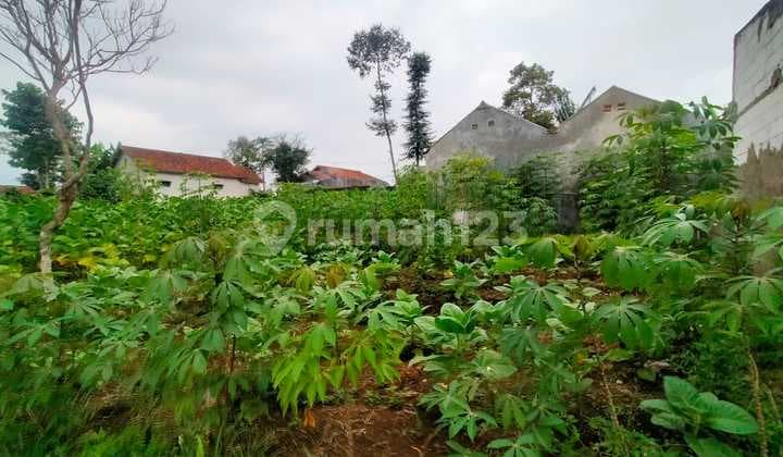 Jual Tanah Murah Siap Bangun 200 Jutaan Tanah Luas 532m,lokasi Tanjung Sari Sumedang Dkt Tol Pamulihan Jarang Ada Murah Harga Nego Cck U/ Invest