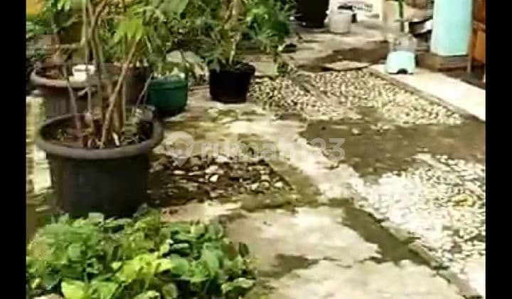 Jual Cepat Investasi Untung