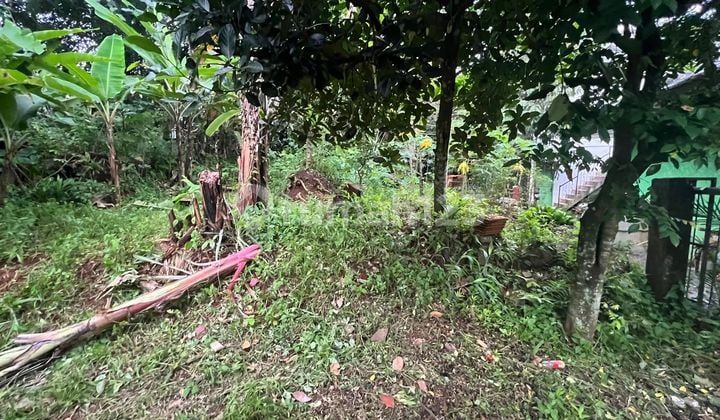 Jual Cepat Binaloka 2