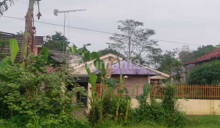 Jual Cepat Jarang Ada