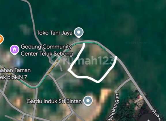 Dijual Cepat Dan Murah 2.3ha Tanah Simpang Lagoi Riau Shm