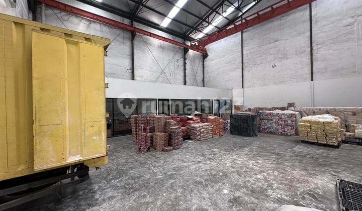 Disewa Pergudangan Peternakkan Babi Bagus