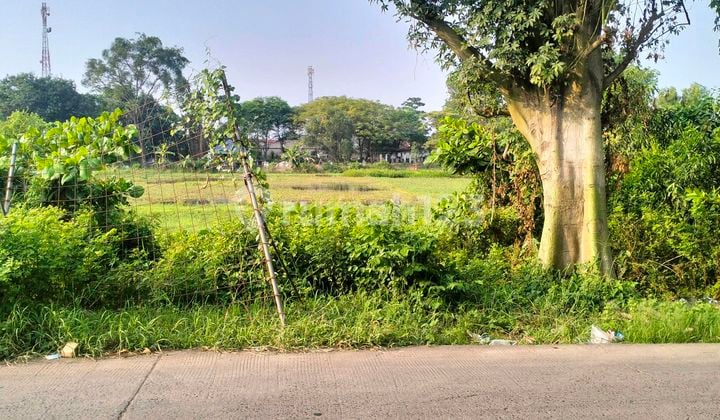 Tanah Murah Subang