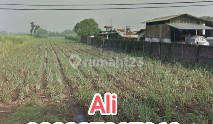 Cheap industrial land in Karang Winongan, Mojoagung, Jombang