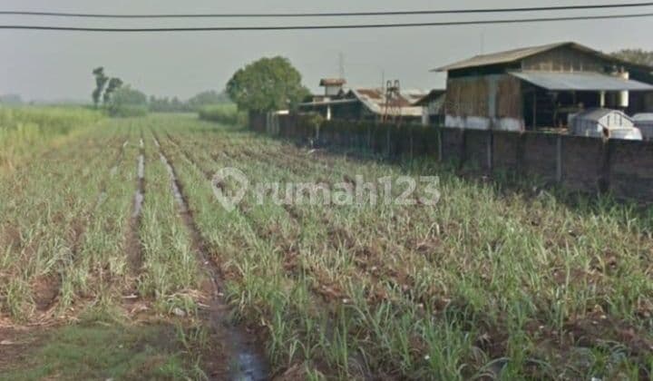 Tanah industri karang winongan mojoagung cocok pabrik