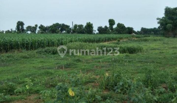 Tanah industri raya lingkar timur sidoarjo kawasan industri Tanah industri raya lingkar timur sidoarjo kawasan industri