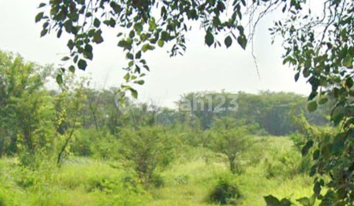 Cheap industrial land highway SHM near toll access container.