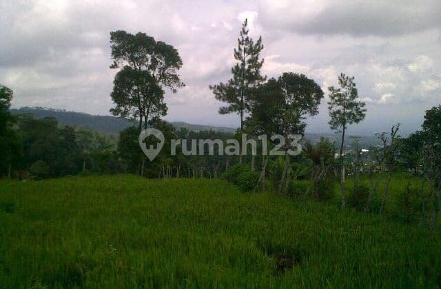 Murah Tanah pacet mojokerto view pegunungan perbukitan