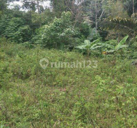 Murah Tanah perbukitan view pegunungan di atas taman dayu