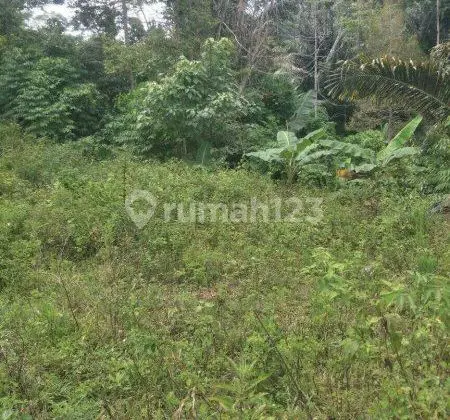 Tanah termurah Nirwana executive cocok bangun rumah