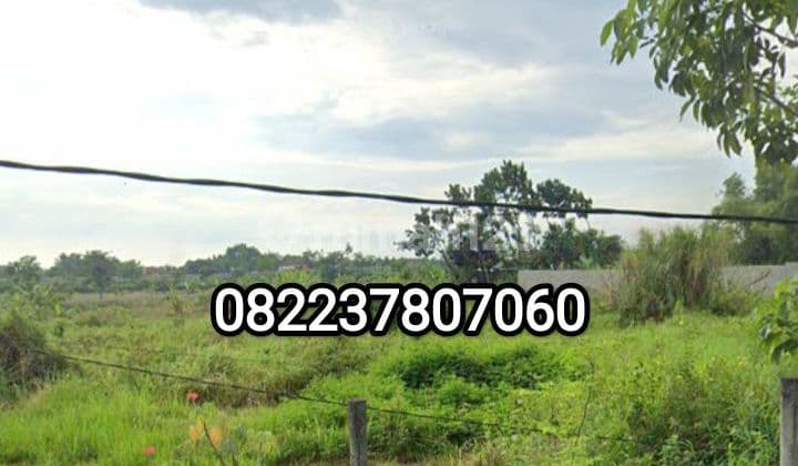 Tanah murah luas 4,5 hektar (45000m2) Banyuwangi