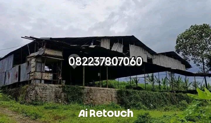 Tanah Industri Cocok Pabrik Jabung Malang