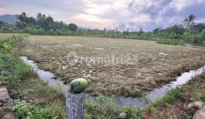 Tanah Di Jalan Raya Carita, Pandeglang, Jawa Barat