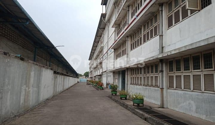 Pabrik 10000 m Bagus HGB Bs Produksi