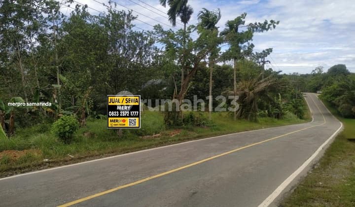 Tanah Hak Milik Pinggir Jalan Poros Di Muara Badak Kaltim