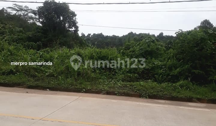Land by the Roadside on the Samarinda-Bontang Main Road
