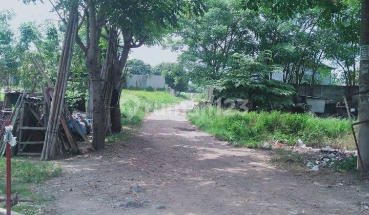 Tanah Murah di jl.Bayur Kali Sepatan -Tangerang