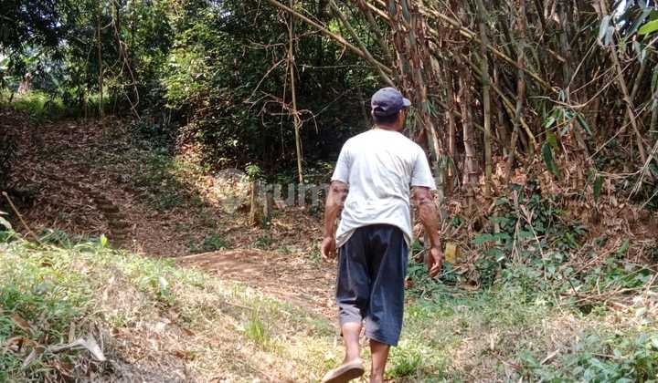Tanah Di Desa Mekar Wangi Cisauk