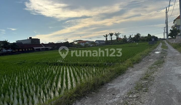 Land For Rent Cemagi 5 Are Walking Distance To The Beach
