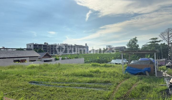 Land For Rent In Seseh Walking Distance To The Beach And Villas Environment