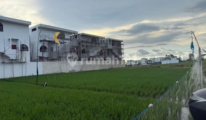 Land For Rent In Cemagi 13 Are