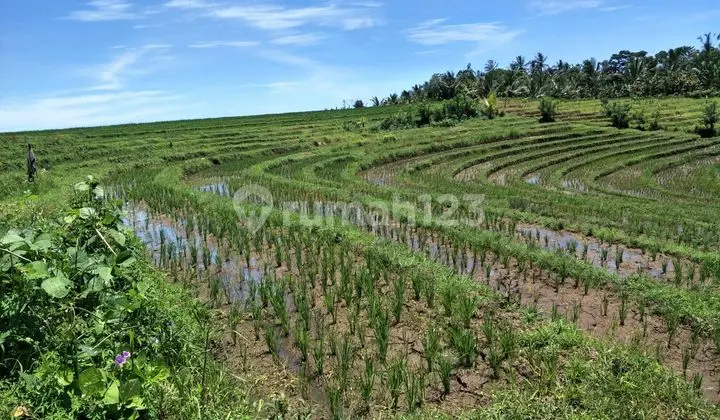 Best Investment. Land in Salamadeg, Tabanan, Ready to Build