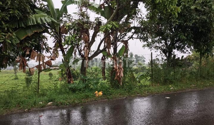 Kavling Gunung Puntang Ciwidey