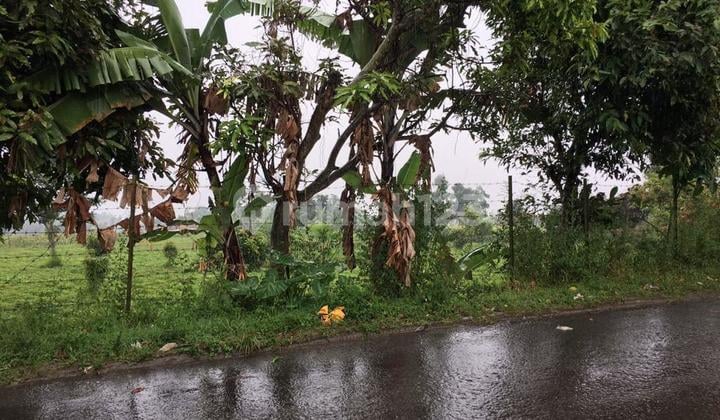 Kavling Gunung Puntang Ciwidey
