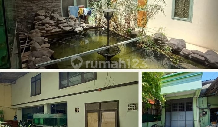 Ngebut Rumah Tempat Usaha Mainroad Lodaya Ngebut Rumah Tempat Usaha Mainroad Lodaya