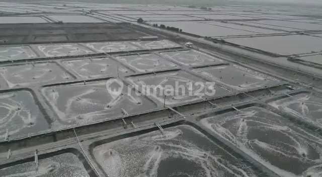 Tambah Udang di Karawang, Lokasi Pinggir Jalan Dan Sungai