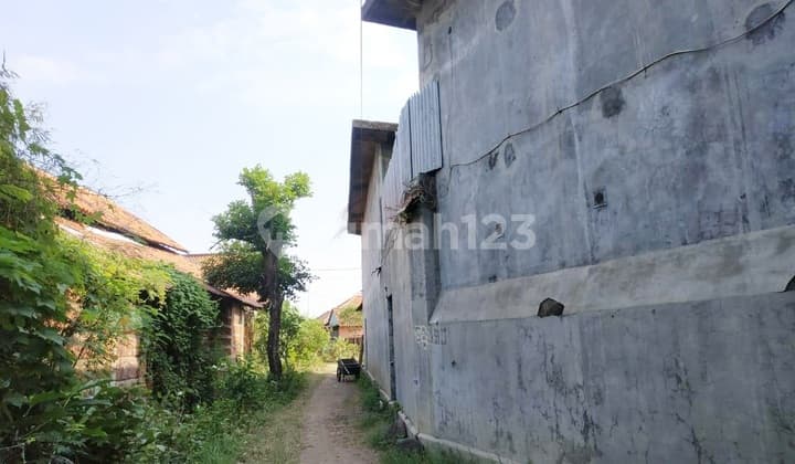 Rumah dan Sarang Burung Walet di Burujul Majalengka
