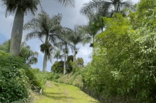 Kavling Lembang Jalan Utama Tangkuban Perahu View Mantap
