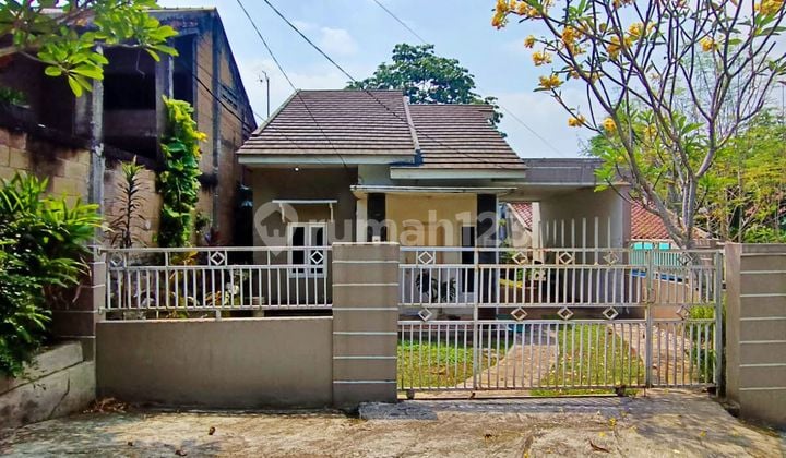 Murah Cinangka Jalan Nusa Indah Hitung Jual Tanah 5 Juta / Meter