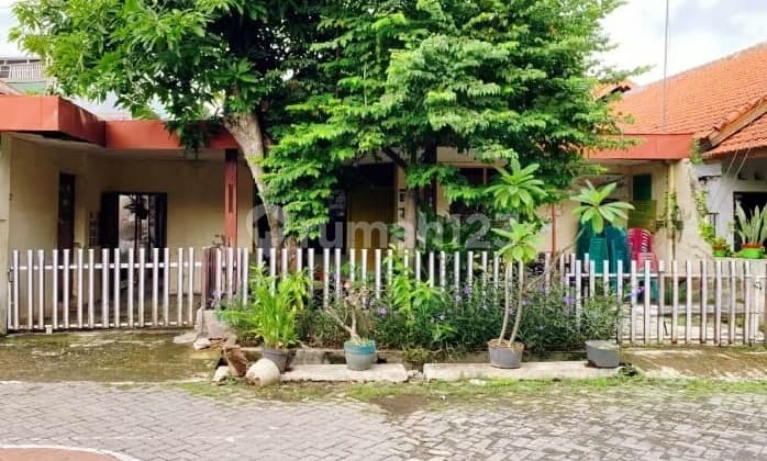 Dijual Rumah Lokasi Tengah Kota di Jl. Pleburan Semarang