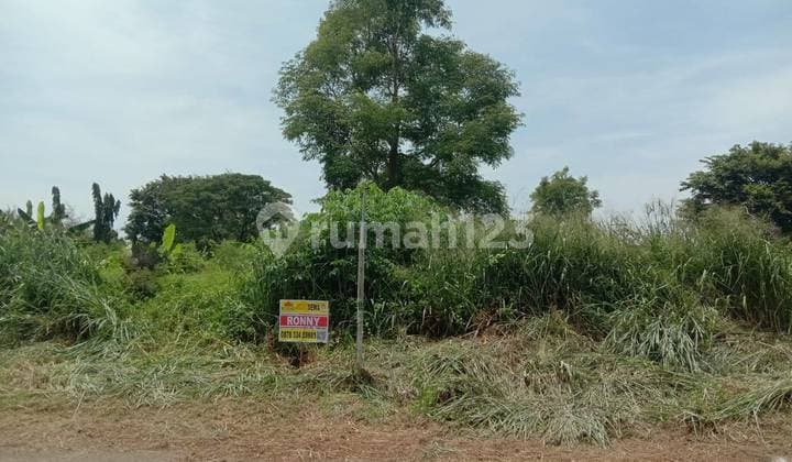 Tanah Luas Disewakan Lokasi Grand Marina Semarang