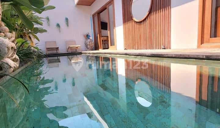 Villa Baru Di Seputar Kayu Tulang Utara Canggu Bali