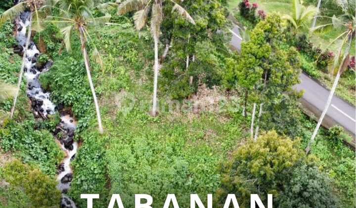 Garden Land with River Flow in the Middle of Tabanan Bali