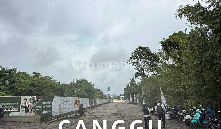 Tanah Canggu Pererenan Pemandangan Sawah Dalam Cluster Villa
