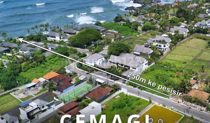 Tanah Pantai Cemagi 250 Meter Menuju Pantai Zona Pariwisata