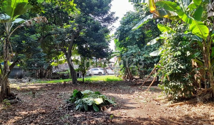 Tanah Luas 1,649 Strategis Di Munjul Cipayung Jakarta Timur