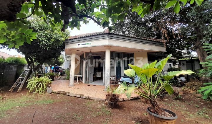 Rumah Tanah Luas Asri, Lokasi Strategis Di Pondok Labu,cilandak