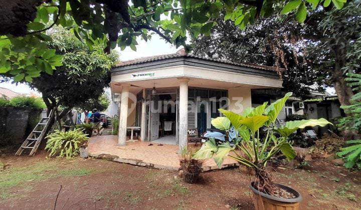 Rumah Tanah Luas Asri, Lokasi Strategis Di Pondok Labu,cilandak