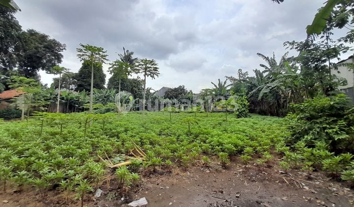 Tanah Kavling Komersil di Cikunir, Potensi Besar Untuk Investasi