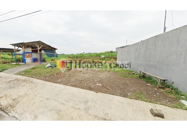 Kavling di Campurejo Boja Kendal Jawa Tengah