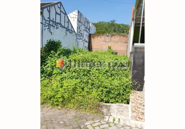 Plot in Daara Sidomulyo Ungaran, Central Java Plot in Daara Sidomulyo Ungaran, Central Java