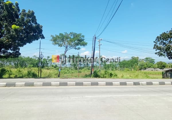 Kavling di Ds Jenarsari Weleri