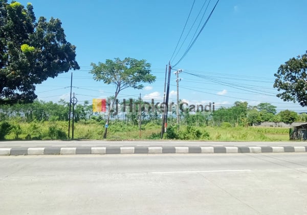 Kavling di Ds Jenarsari Weleri