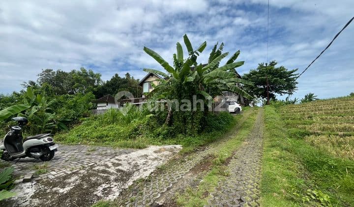 Land for Sale One Step to Luna Beach Club, Tabanan