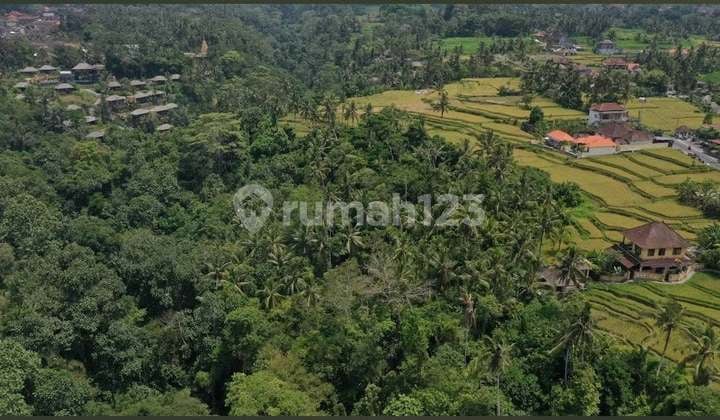 Dijual Tanah di Kenderan Ubud Sangat Bagus Dekat dengan Kota Ubud